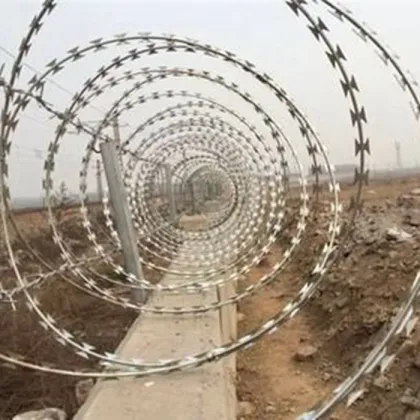 Hot dipped galvanized double twist razor wire roll