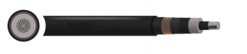 Efficient NA2XS(F)2Y 12/20(24)kV Cable