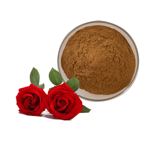 Rose Flower Extract Powder 10:1