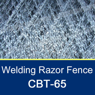 CBT-65*75*150mm Straight-line Razor Fence