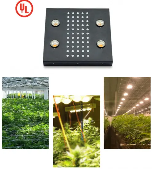 NOAH 4 Plus Led Grow Light