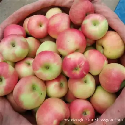 royal gala red gala fresh gala