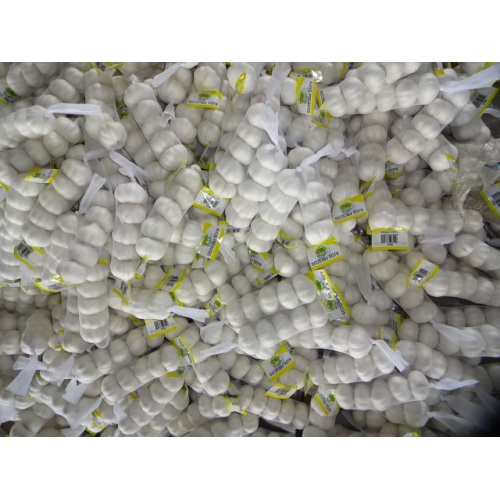 2020 Season Wholesale Pure White Garlic