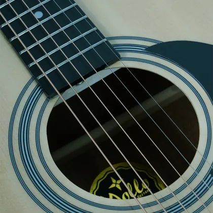 Guitar Hollowbody Bodies Acoustic Guitar