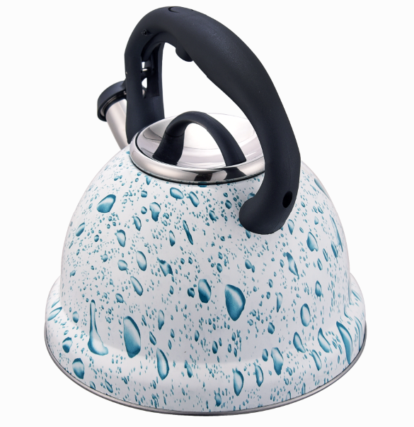 Soyta Tea Kettle BPA-free