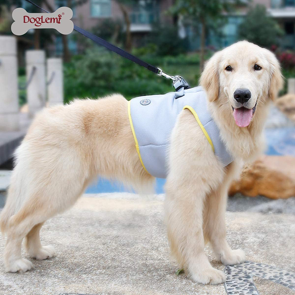 dog vest