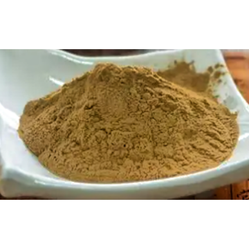 Top Quality Natural Hazelnut Extract Powder