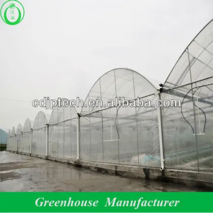 Film Small Nursery Greenhouse