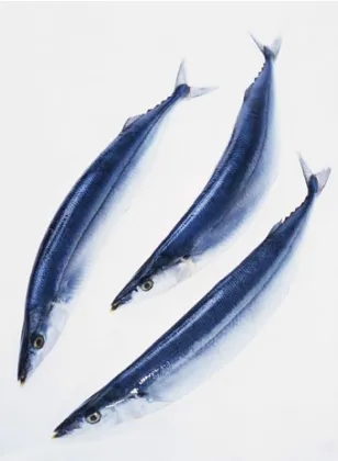 Whole Round Fresh Pacific Saury