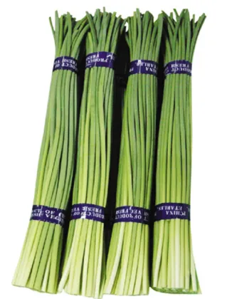 Chinese new season garlic moss