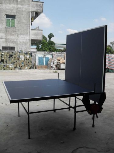 Double-Folding Table Tennis Table (TE-16)