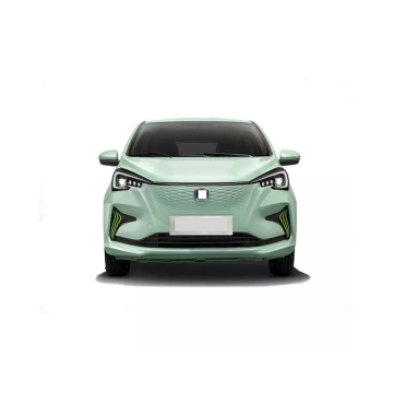 Attractive Design Security Vehicle: New Electric Car for Sale