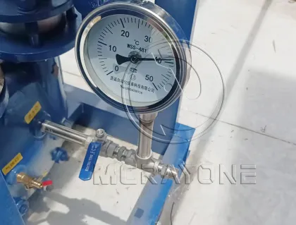 Small Palm Oil Refining Machine: 500kg Oil Refining Plant and Processing Machinery