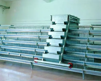Chicken raising equipment automatic for Broiler  
