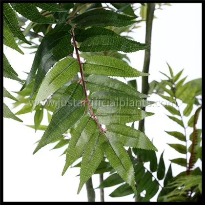 Popular Artificial Chinese Toon Tree With Plastic Eco Friendly