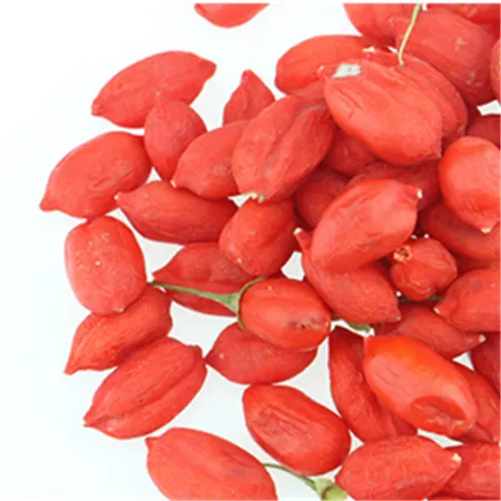 Freeze Goji Berry Wolfberry