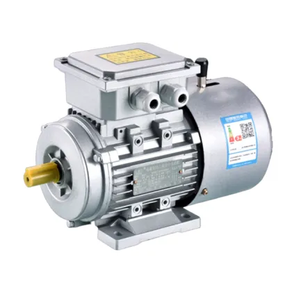 ABB Siemens Weg AC Induction Electric Motor 230/380V with CE Certification