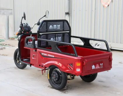 Mobility Electric Vehicle Electric Tricycles