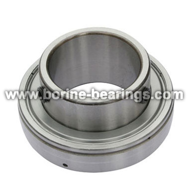 SB200 serie radiale invoegen Bearing