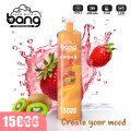 Bang Shisha 15000 Puff Vape dùng một lần bán buôn Pháp