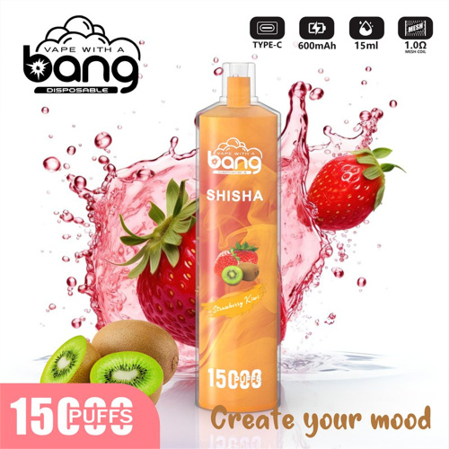 Bang shisha 15000 Puff Disposable Vape Wholesale France