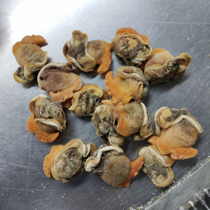 Frische gefrorene Blutmuschel ohne Pestizidreste