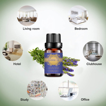 Wholesale organic hyssop essential oil for skin care