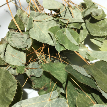 Vendita calda Sagittatum Epimedium