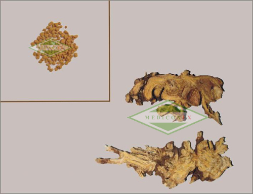 Rhizoma Ligustici Concentrated Graunles, Plant Extract