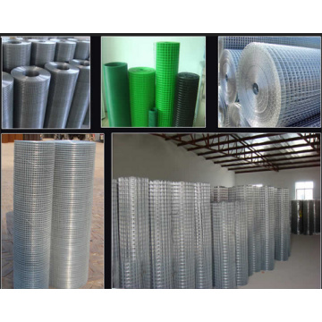 Electro galvanized welded iron wire mesh