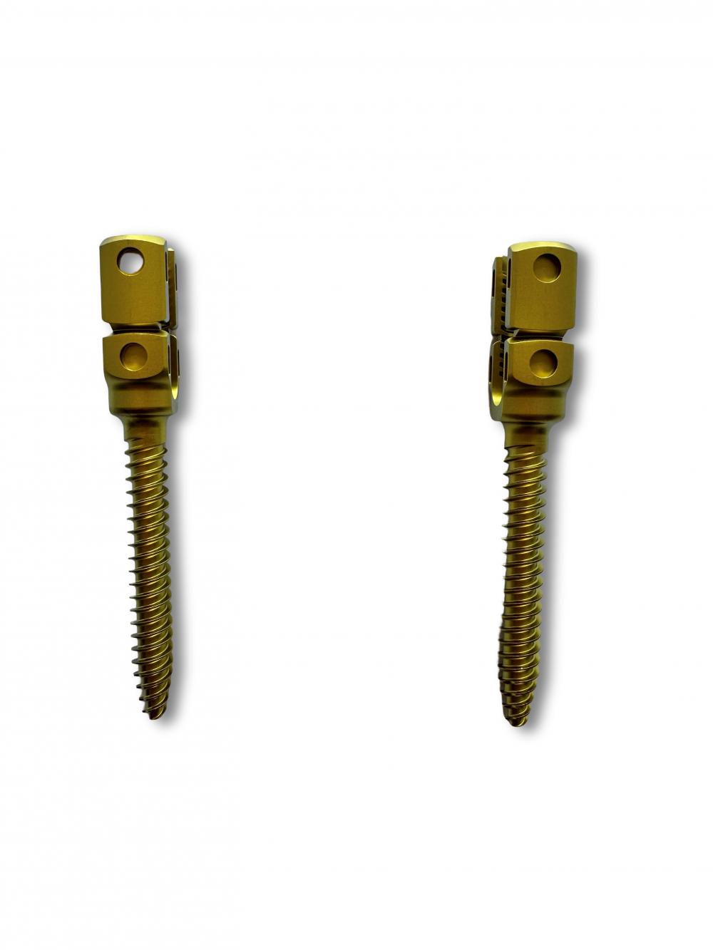 Break-off Monoaxial Pedicle Screw