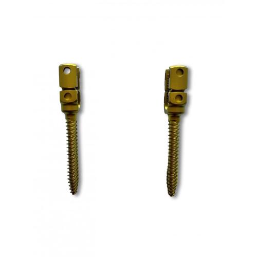 Breakable Monoaxial Pedicle Screw Machining Single-axial Vertebral Arch Pedicle Screw Supplier