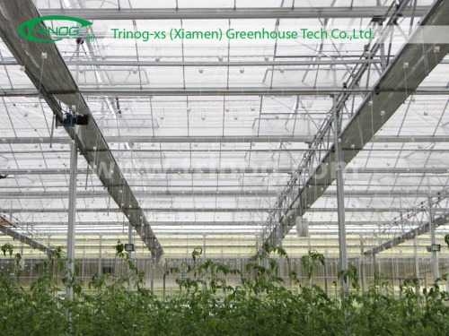 Venlo Multi-Span Hydroponical Glass Greenhouse