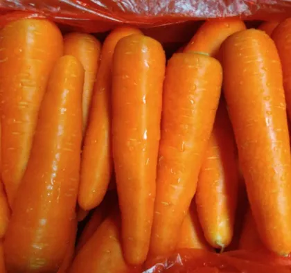 Fresh and Wholesome Dehydrated Carrot Granules