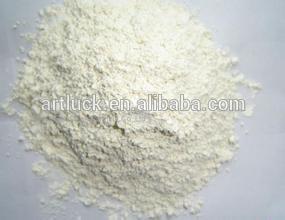 Dried Onion powder