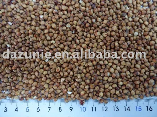 Red Sorghum