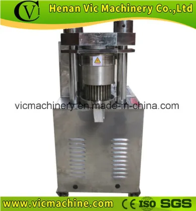 6y-200 Hydraulic Oil Press, Small Hydraulic Oil Press