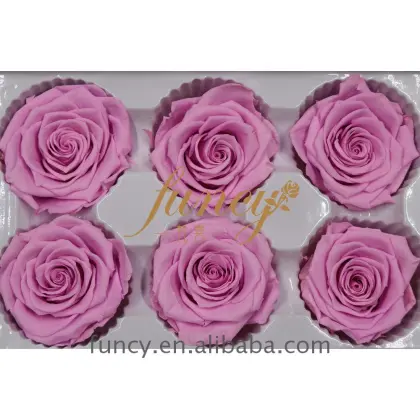 Yunnan FuncyFlora's Best 5-6cm Purple Natural Immortal Preserved Roses