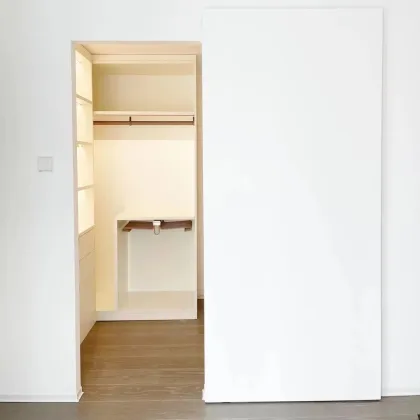 Wholesale Invisible Sliding Door Wooden Silent Slide Magic Track Barn Door