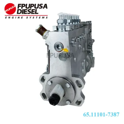 101609-904A Engine Fuel Injection Pump Assy for Doo-won DB58 Engine