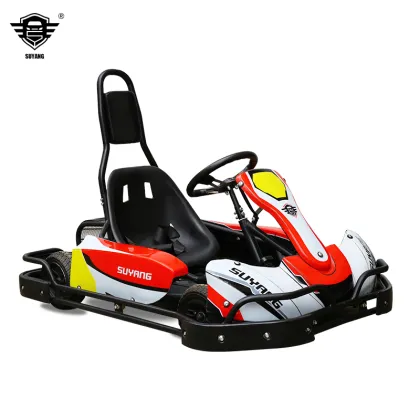 Electric Race Karting: Factory Sales Kids Go Kart 300W*2