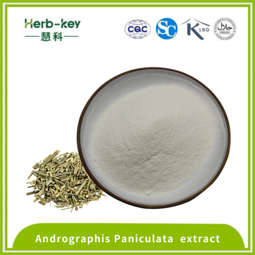 Herbal Medicine Andrographolide 5% Andrographis Paniculata extract Factory