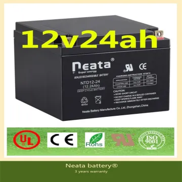 Neata Battery 12V 24AH VRLA Battery