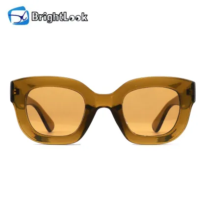 Luxury Brand Sunglasses for Men and Women