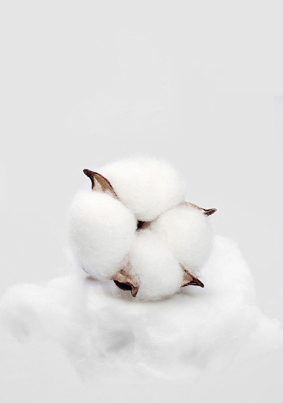 Four Seasons Bath Towels1