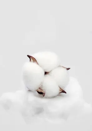 Four Seasons Bath Towels