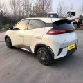 BYD Seagull 2025 Smart Driving Vitality 305KM Edition