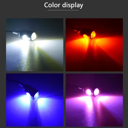 Motorcycle Eagle Eye Lighting Kit: Taillights, Turn Indicators, License Plate, and Reversing Lights with 2LED DRL