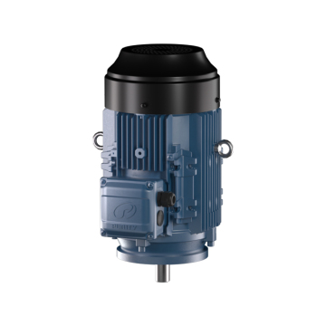 75kw 100hp Waterproof Three Phase Induction Electric Motor