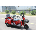 Motocicleta a gasolina triciclo de passageiro de 3 rodas TUK